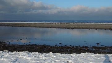 VED STRANDEN - LYSTRUP STRAND, VINTER 2.jpg VED STRANDEN - LYSTRUP STRAND, VINTER 2.jpg